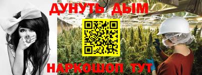 стафф Новодвинск