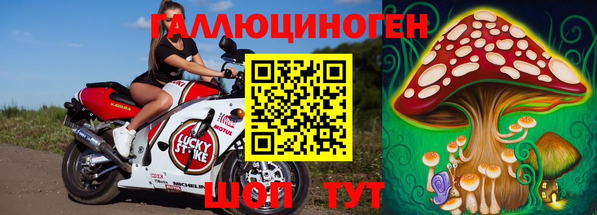 Спасск-Дальний  наркошоп  Галлюциногенные грибы Magic Shrooms  Вход с VPN  Псилоцибиновые грибы MAGIC MUSHROOMS 